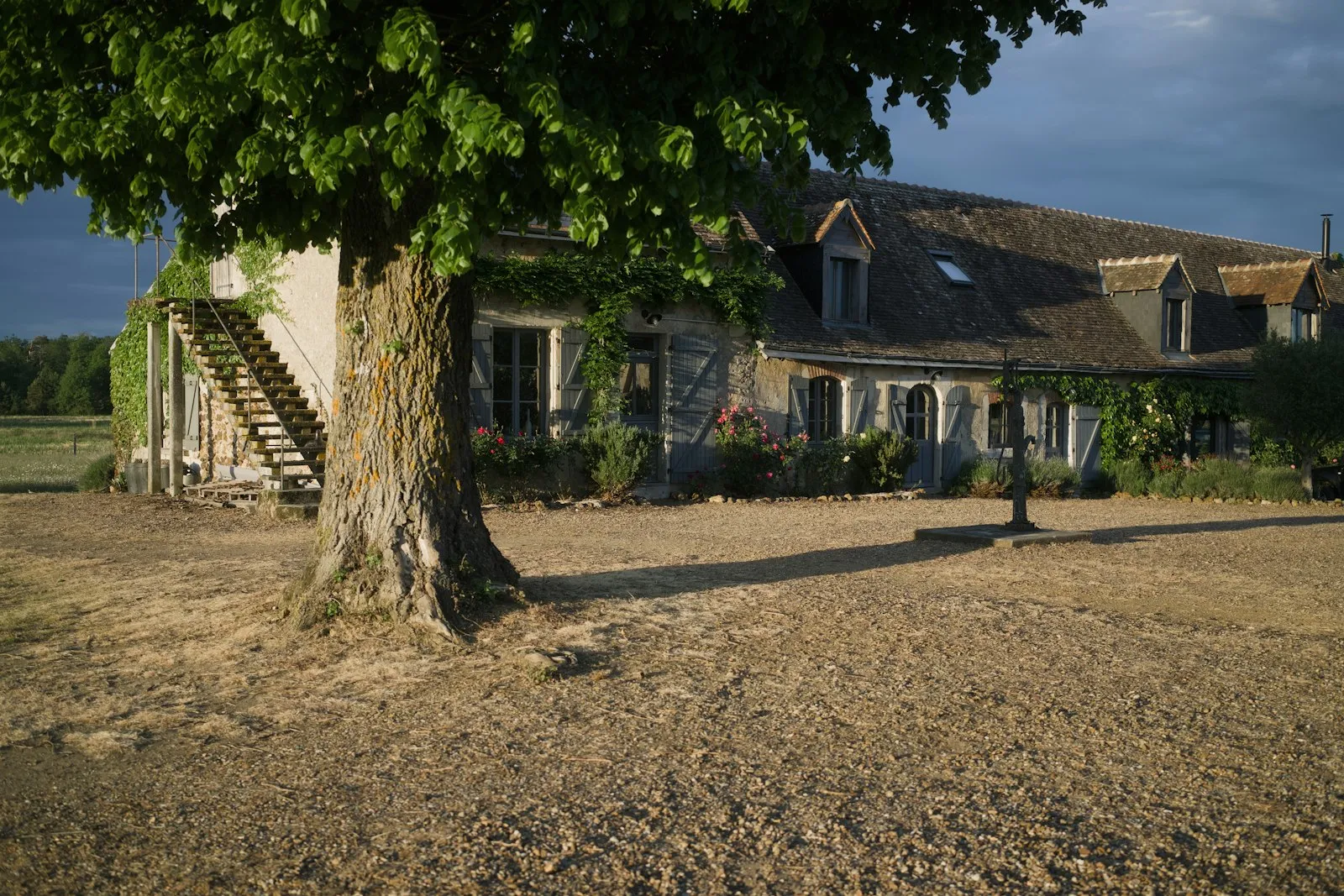 La ferme et son tilleul